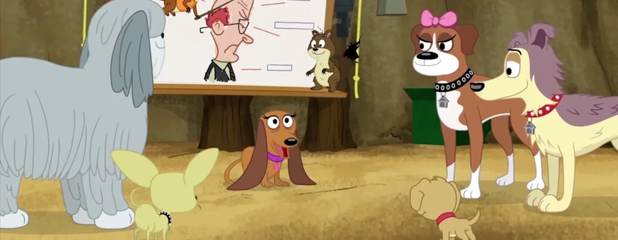 Щенки из приюта № 17